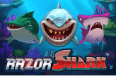 razor-shark