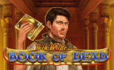 Book of Dead Slots