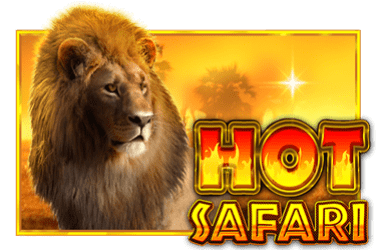 Hot Safari 1
