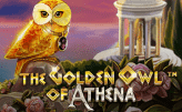 golden-owl-athena
